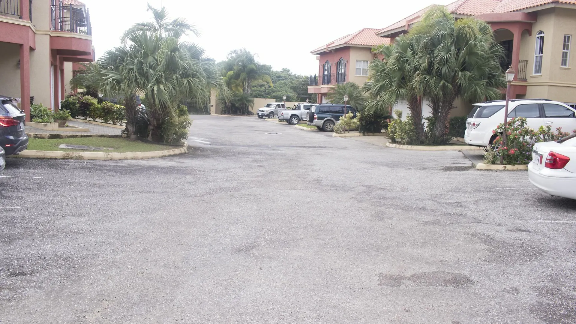 Pine Hurst Suites Montego Bay Lejlighed